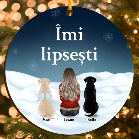 Ornament Memorial Personalizat pentru Animale de Companie – În Amintirea Prietenului Drag